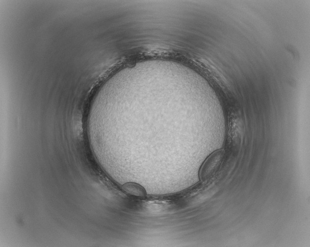 X0000115030508200911161509