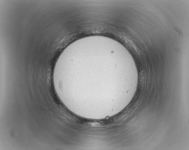 X0000115030509200911161509