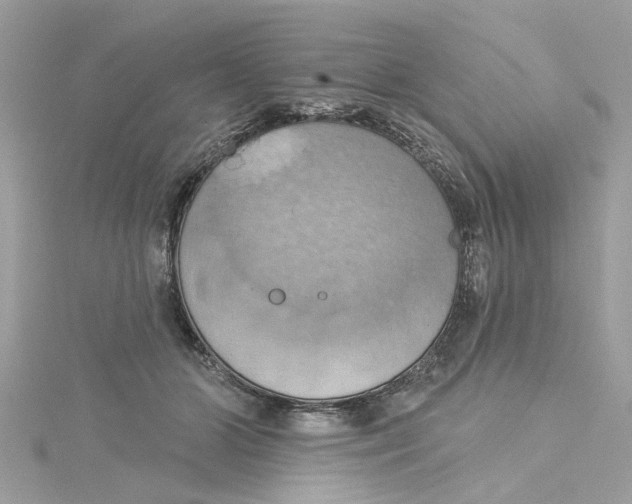 X0000115030510200911161509