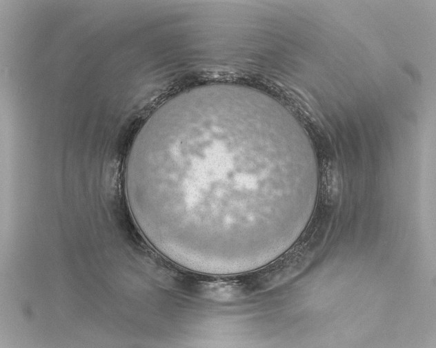 X0000115030511200911161509