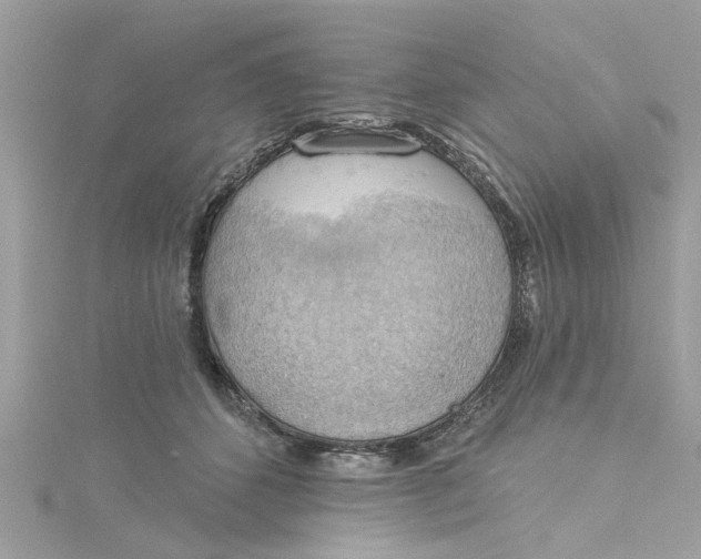 X0000115030512200911161509