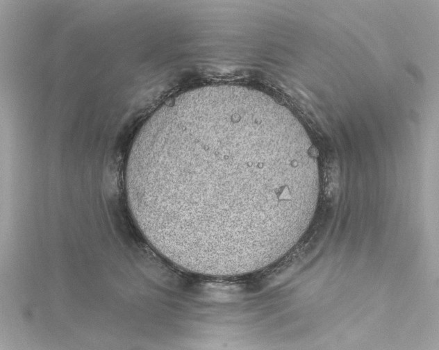 X0000115030515200911161509