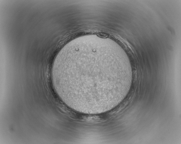 X0000115030517200911161509