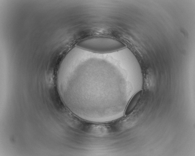 X0000115030520200911161509