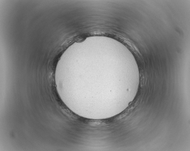 X0000115030521200911161509