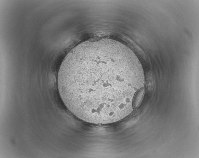 X0000115030523200911161509