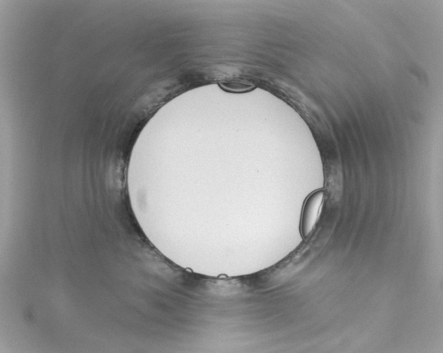 X0000115030525200911161509