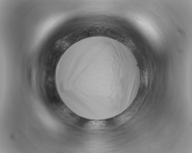 X0000115030526200911161509