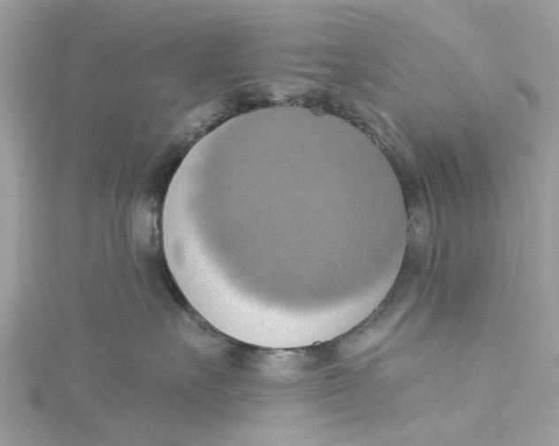 X0000115030527200911161509