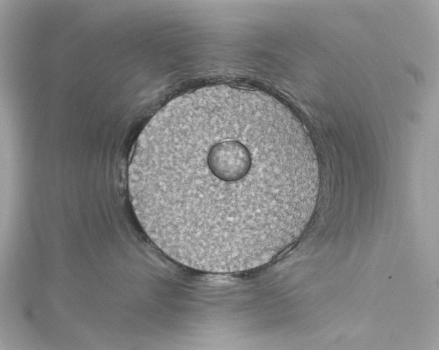 X0000115030528200911161509