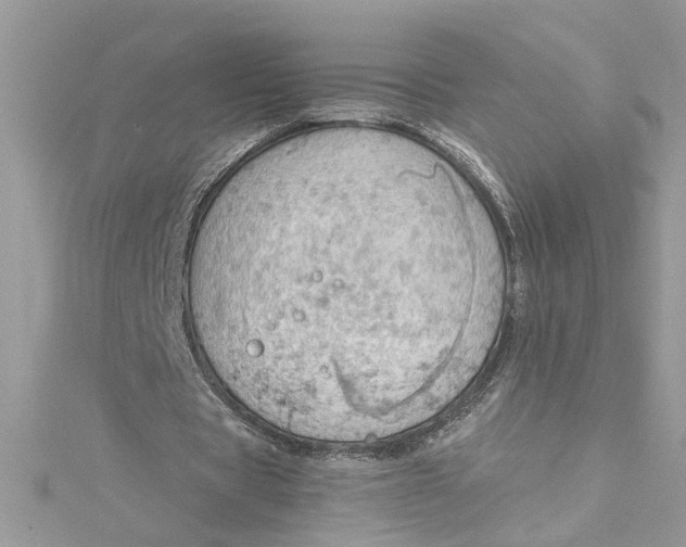 X0000115030529200911161509