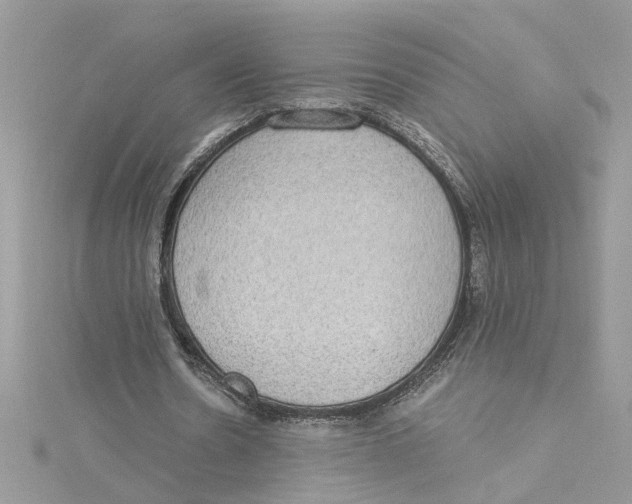 X0000115030530200911161509