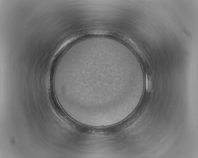 X0000115030531200911161509