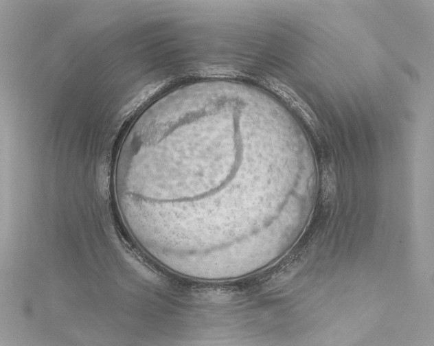 X0000115030533200911161509