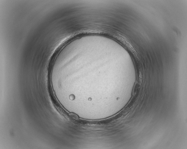 X0000115030534200911161509