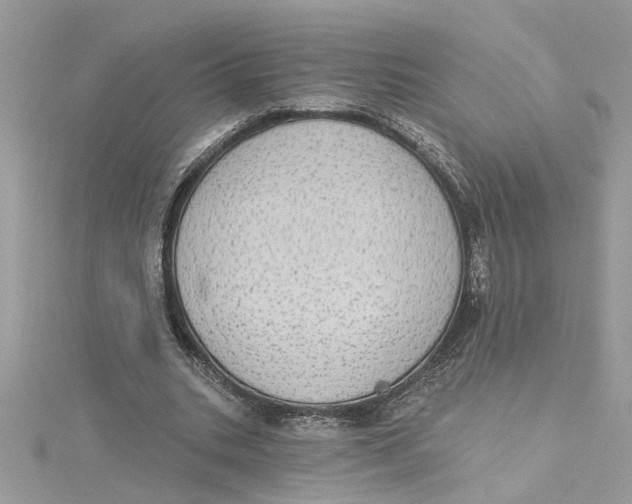 X0000115030535200911161509