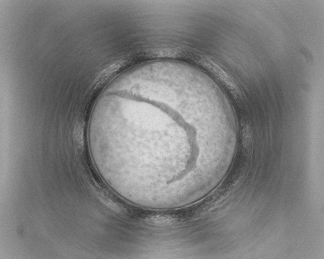 X0000115030537200911161509