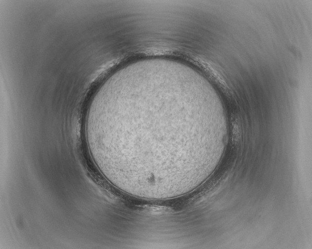 X0000115030539200911161509