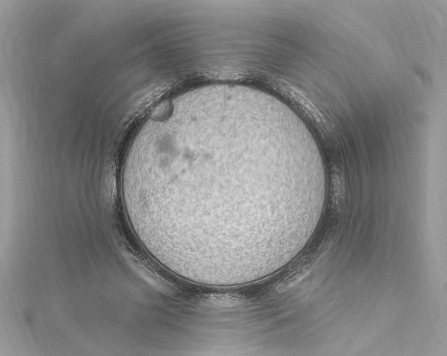 X0000115030541200911161509