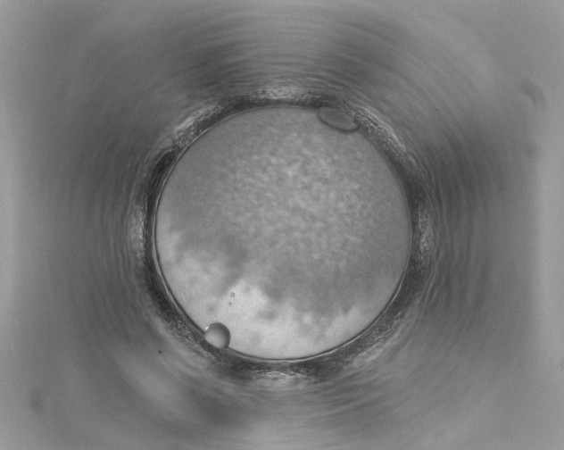 X0000115030542200911161509