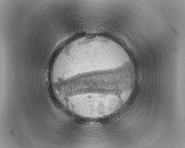 X0000115030543200911161509