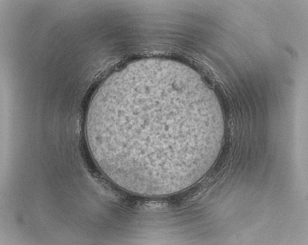 X0000115030546200911161509