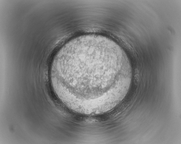 X0000115030547200911161509