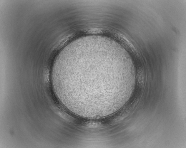 X0000115030549200911161509