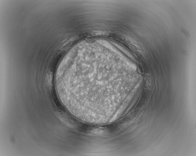 X0000115030550200911161509