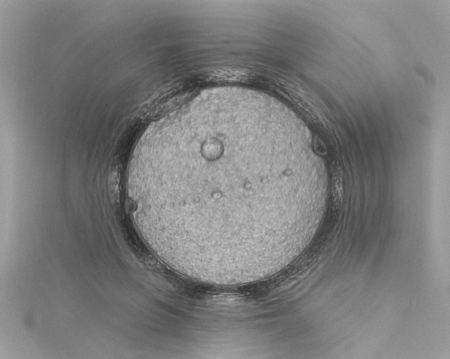 X0000115030551200911161509