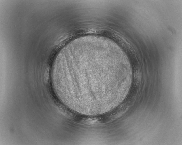 X0000115030554200911161509