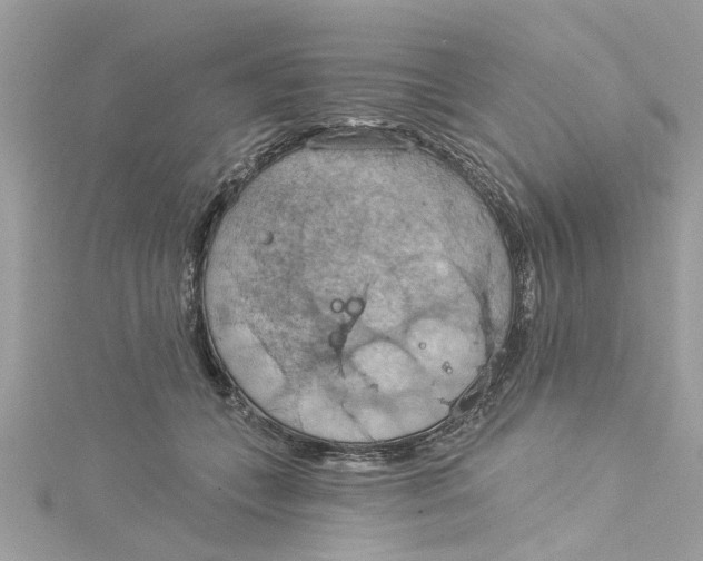 X0000115030559200911161509