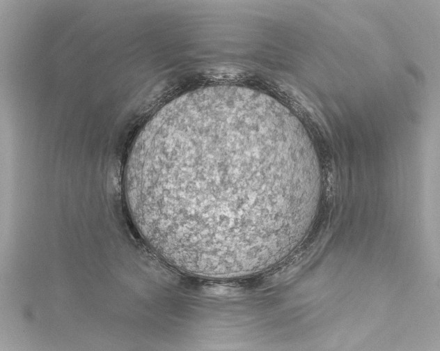 X0000115030561200911161509