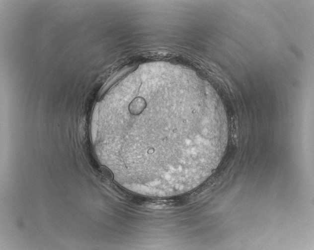 X0000115030563200911161509