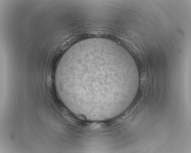 X0000115030566200911161509