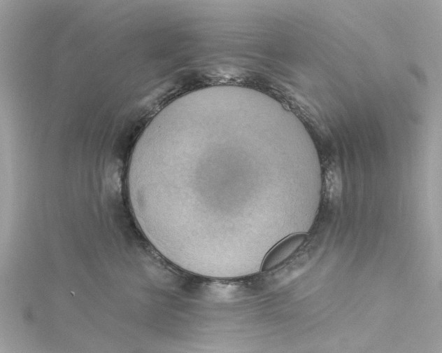 X0000115030570200911161509