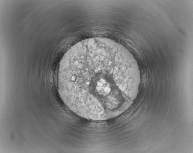 X0000115030571200911161509