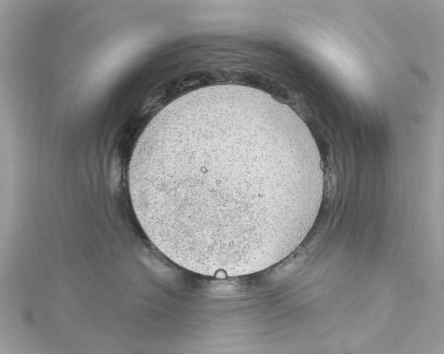 X0000115030574200911161509