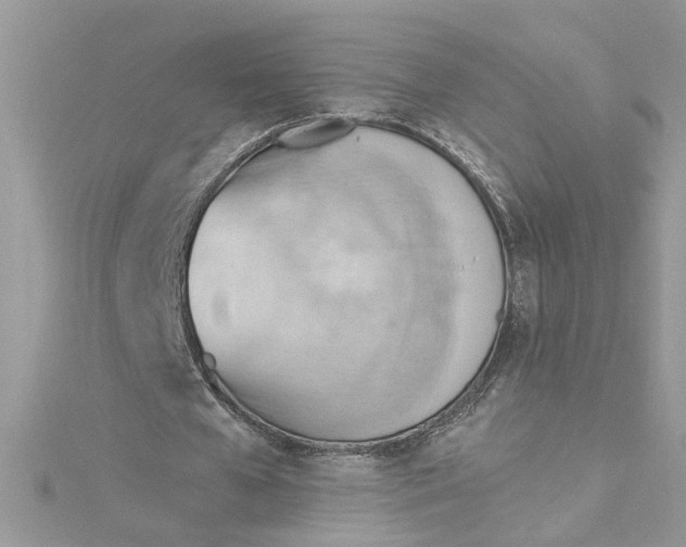 X0000115030577200911161508