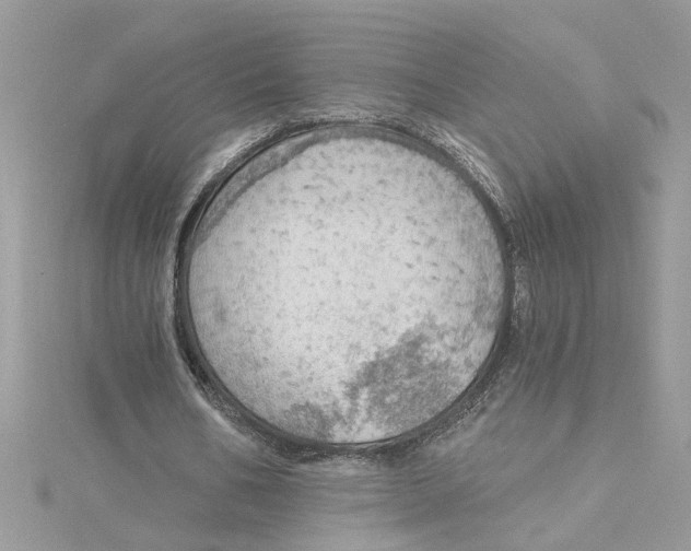 X0000115030578200911161508