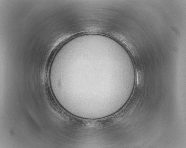 X0000115030579200911161508