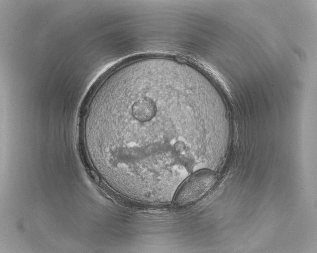 X0000115030580200911161508