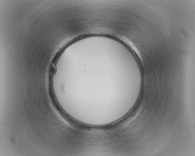 X0000115030581200911161508