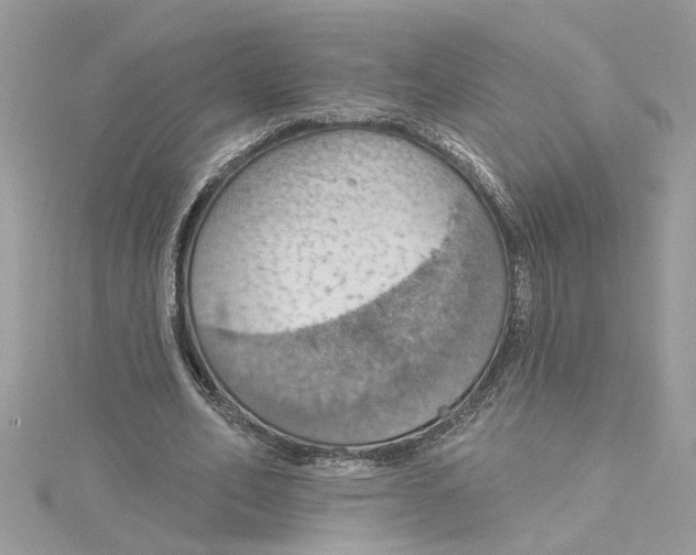 X0000115030582200911161508