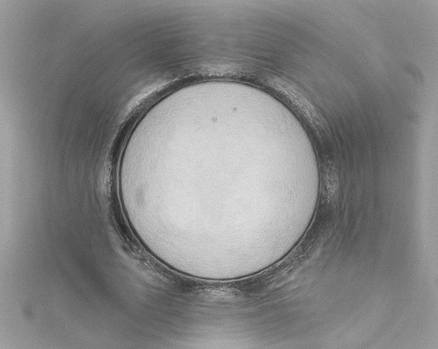 X0000115030583200911161508