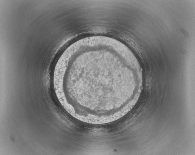 X0000115030584200911161508