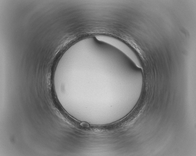 X0000115030585200911161508