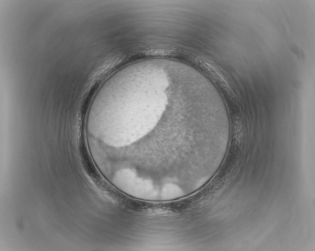 X0000115030586200911161508