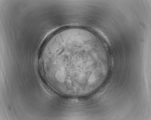 X0000115030588200911161508