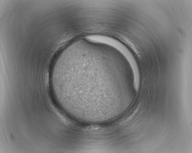 X0000115030589200911161508